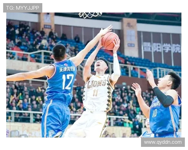 2017年辽宁队与浙江广厦队激战回顾：一场篮球盛宴的精彩瞬间与战术较量