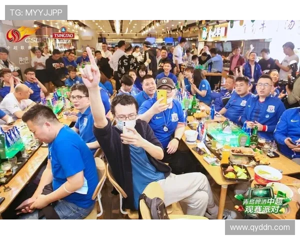 丹麦与比利时激战正酣足球盛宴引发球迷热情四溢