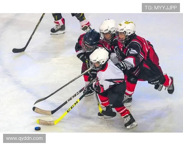 温哥华与科罗拉多急流的激烈对决展现冰球魅力与团队精神