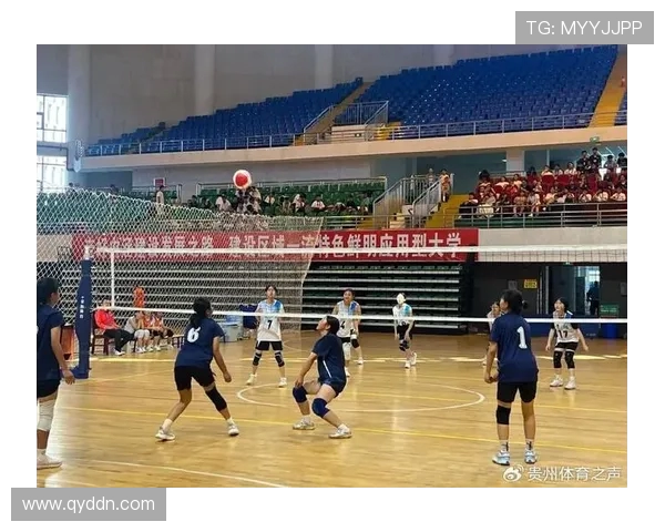 陈敏畅谈排球生涯中的挑战与成就以及对未来的展望