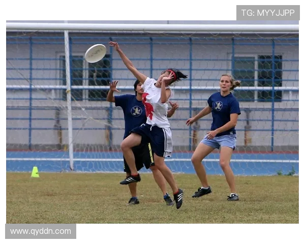 飞盘耐力赛事揭晓北京飞盘队荣登榜首引发热议