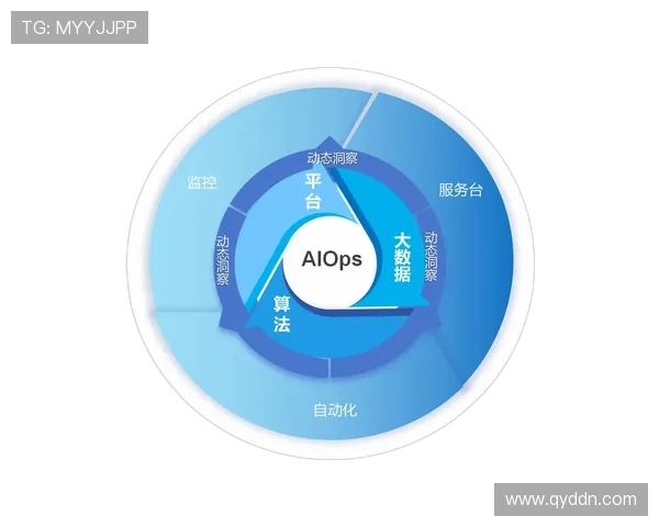 杭州攀岩队个人能力表现数据分析与提升策略探讨